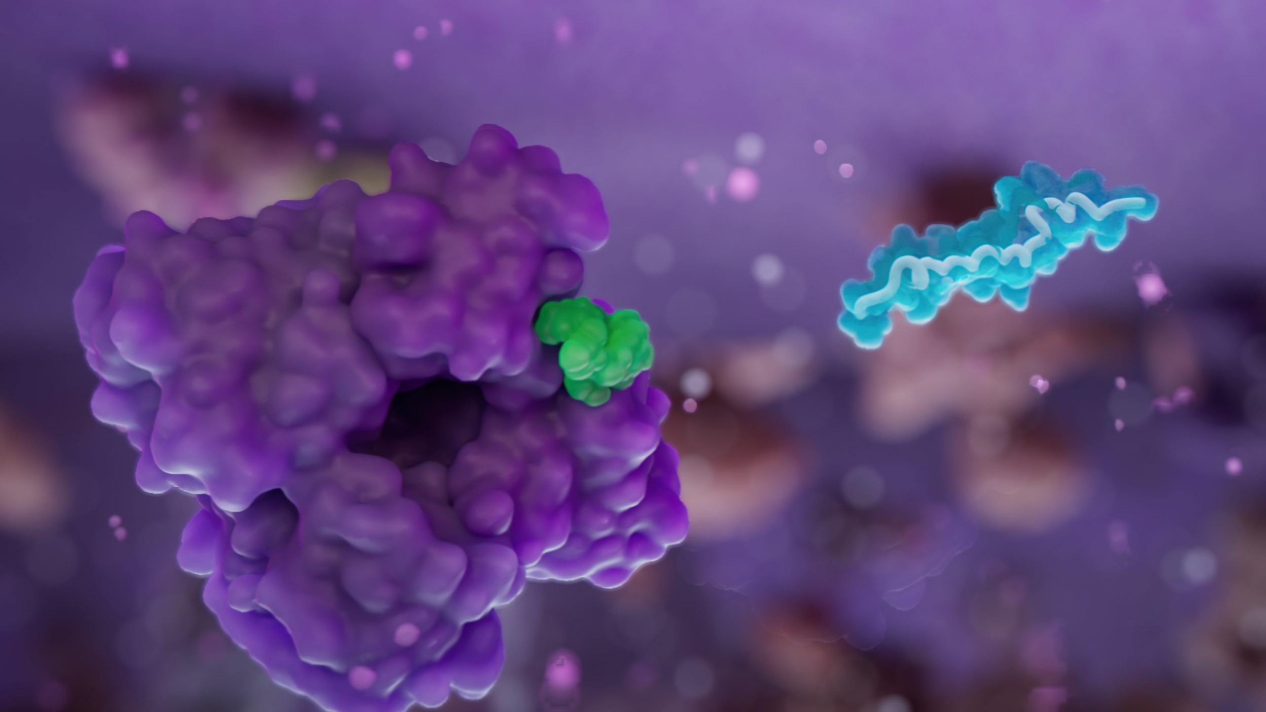 Drug dissociation from the peptide carrier