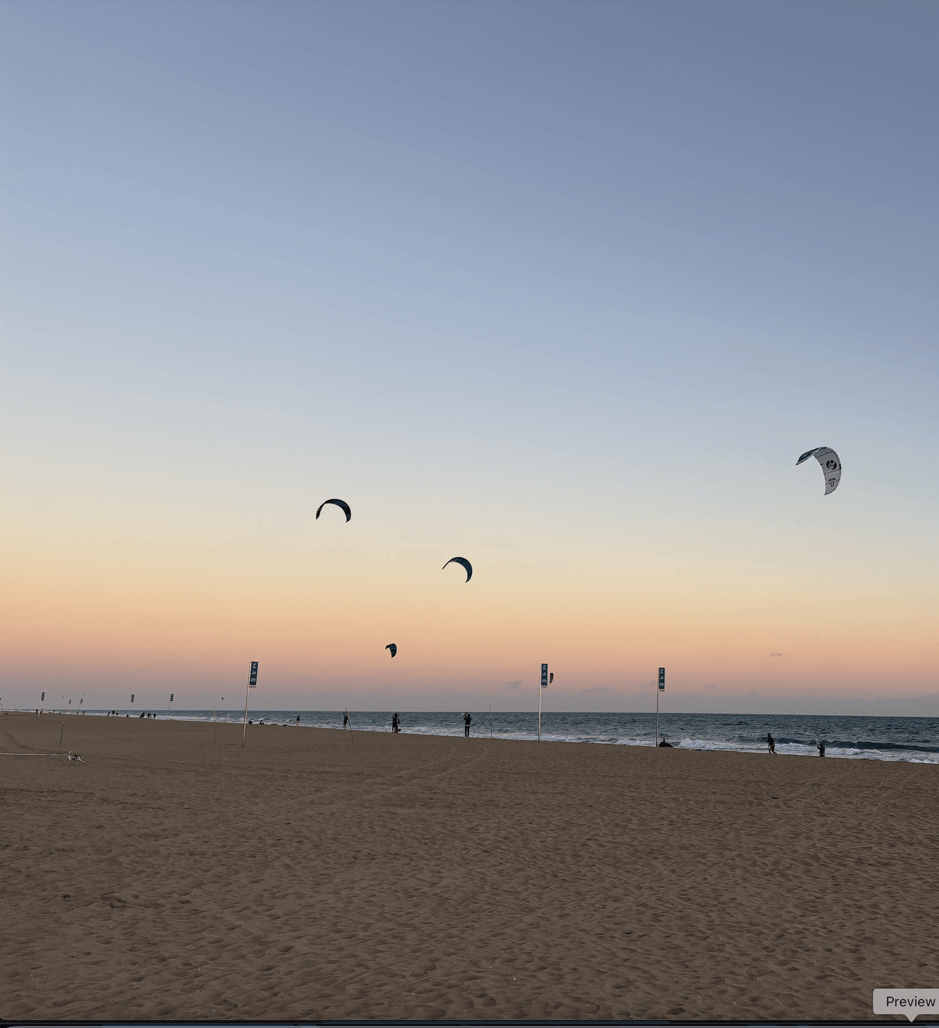 Abstract red glowing lines on a dark background