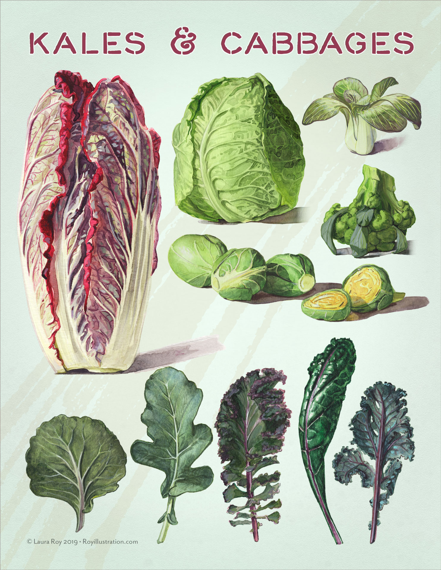 Kales & Cabbages Watercolor Poster