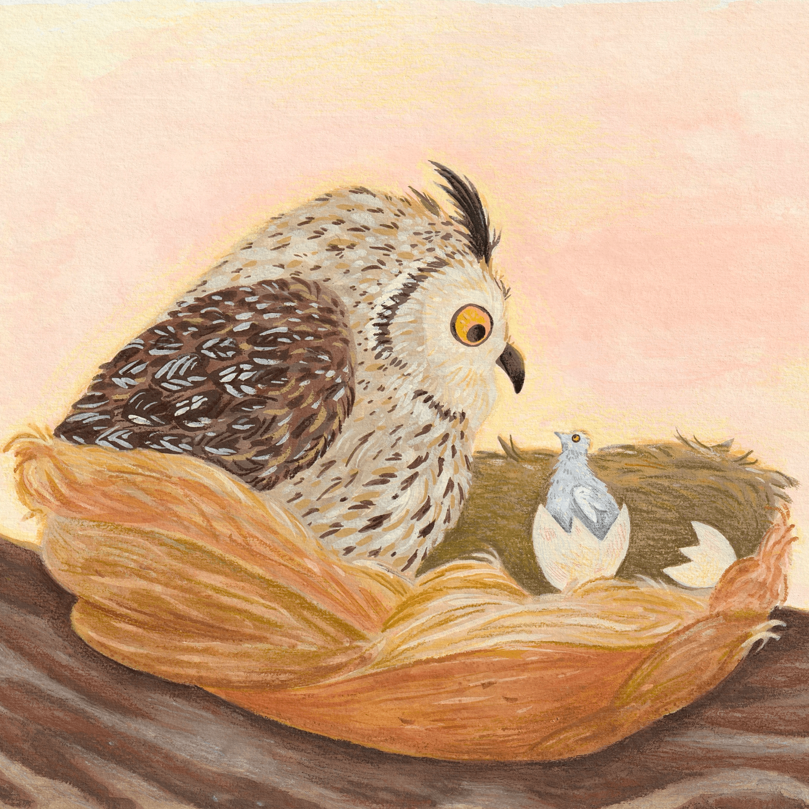 raccon on a tree illustration