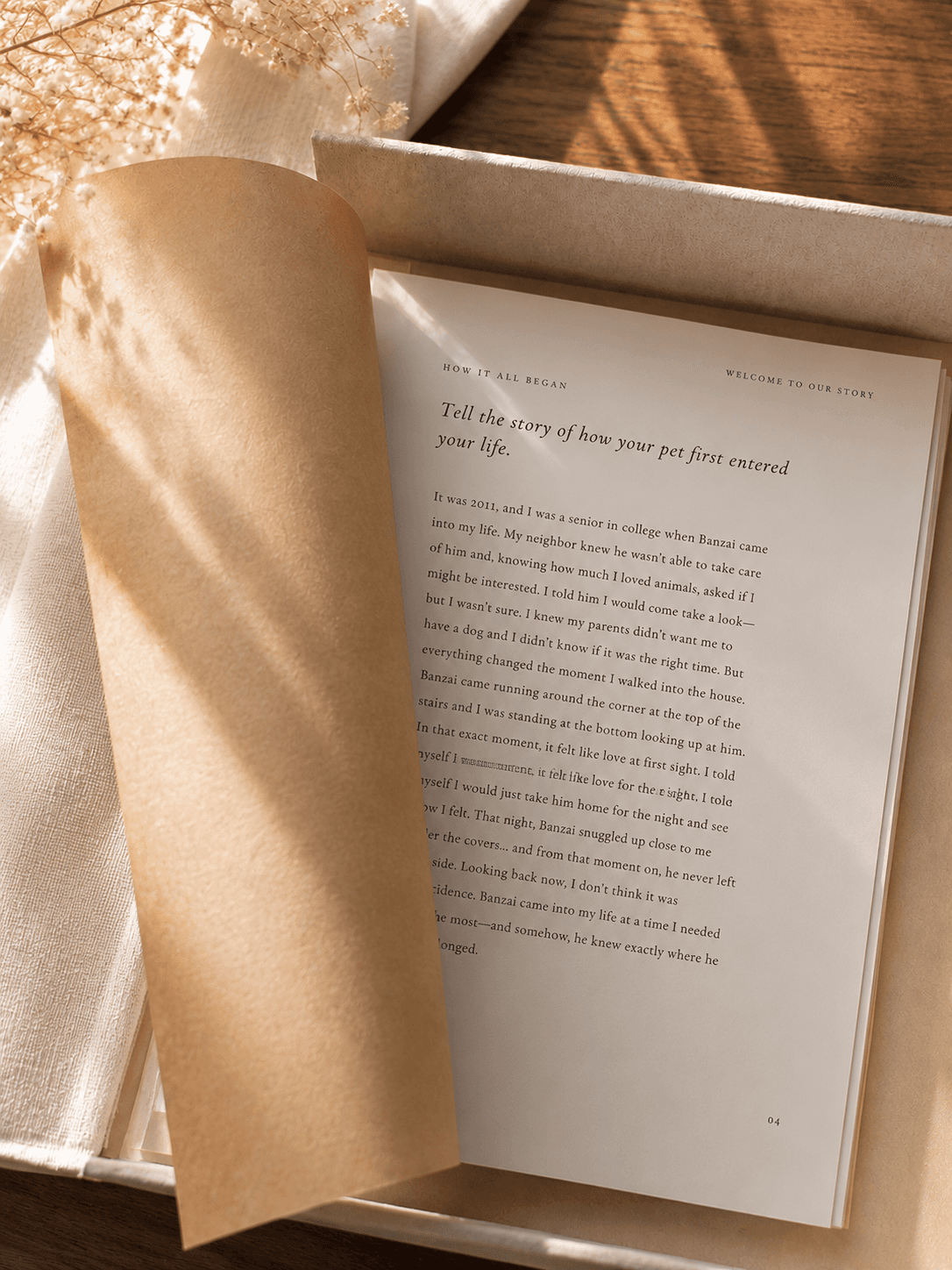 Open Companion Chronicles pet memory journal inside a linen keepsake box, featuring guided prompts to document a dog’s life story.
