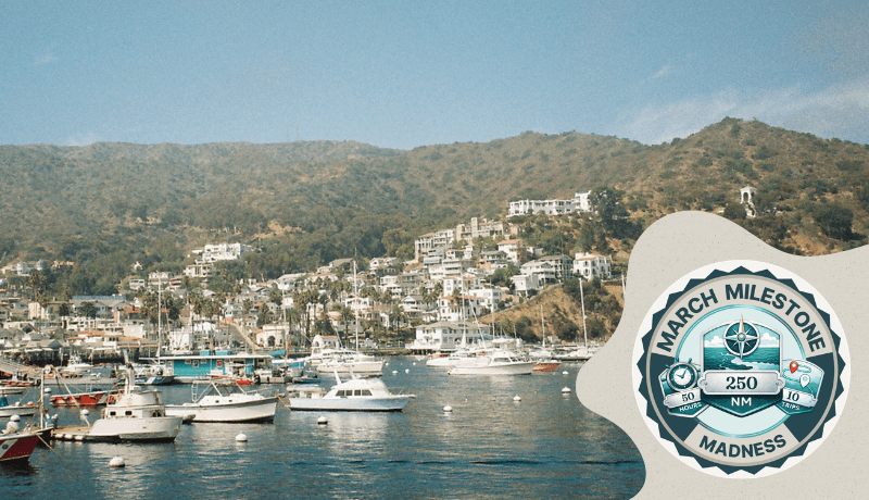 The SeaPeople March Madness Challenge