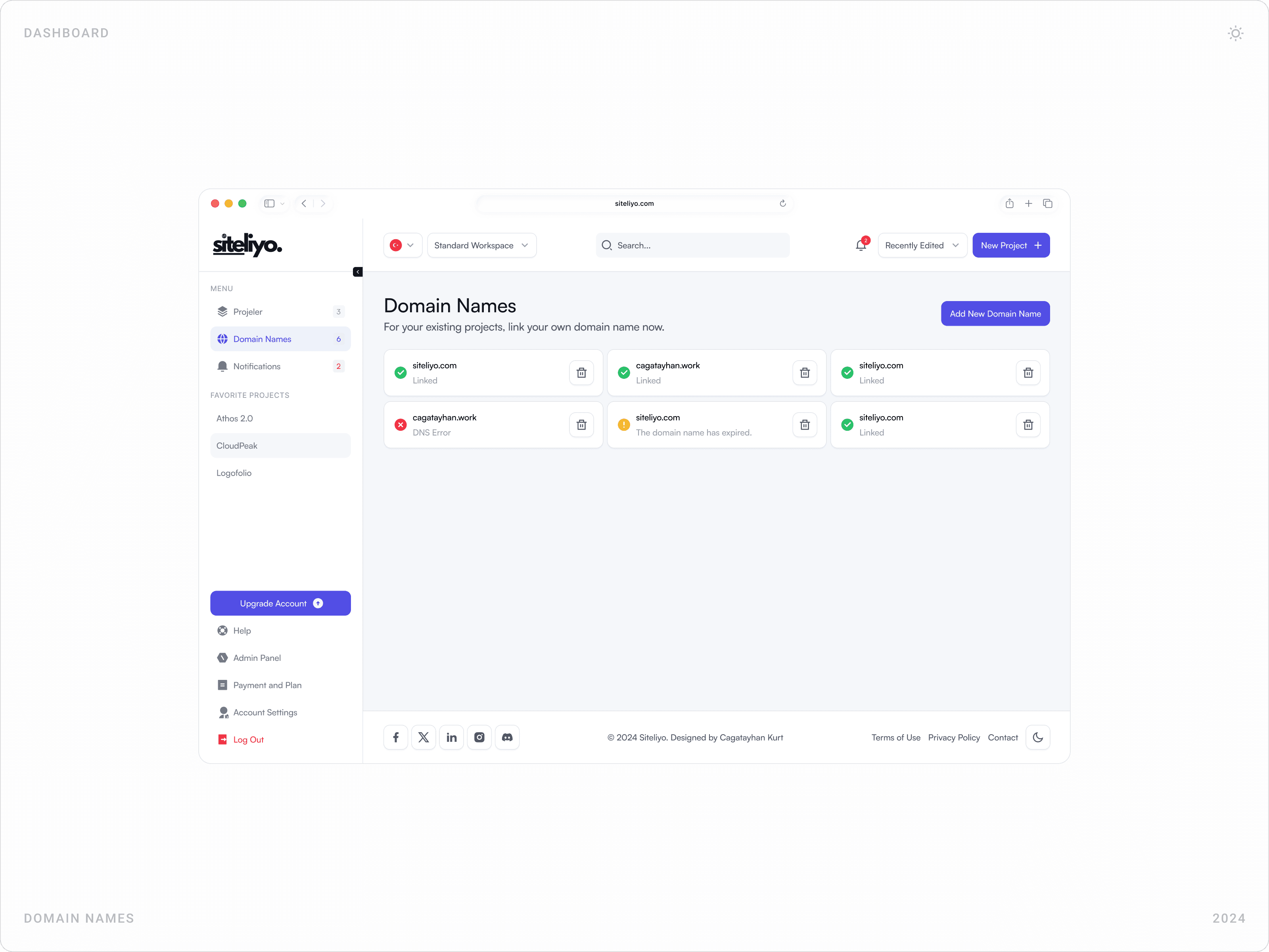 Modern SaaS Domain Management Dashboard Design