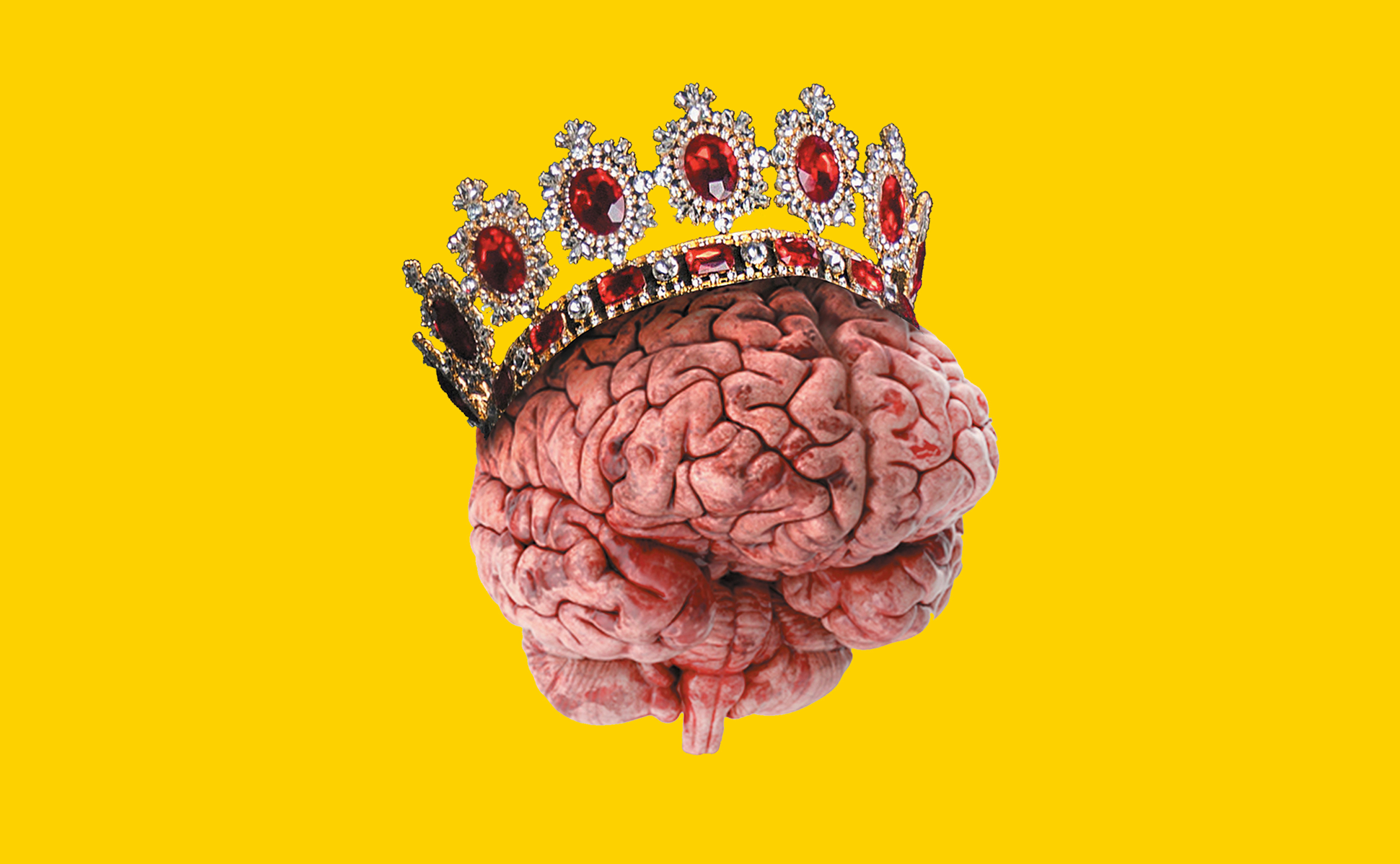 Image of a crown on a brain