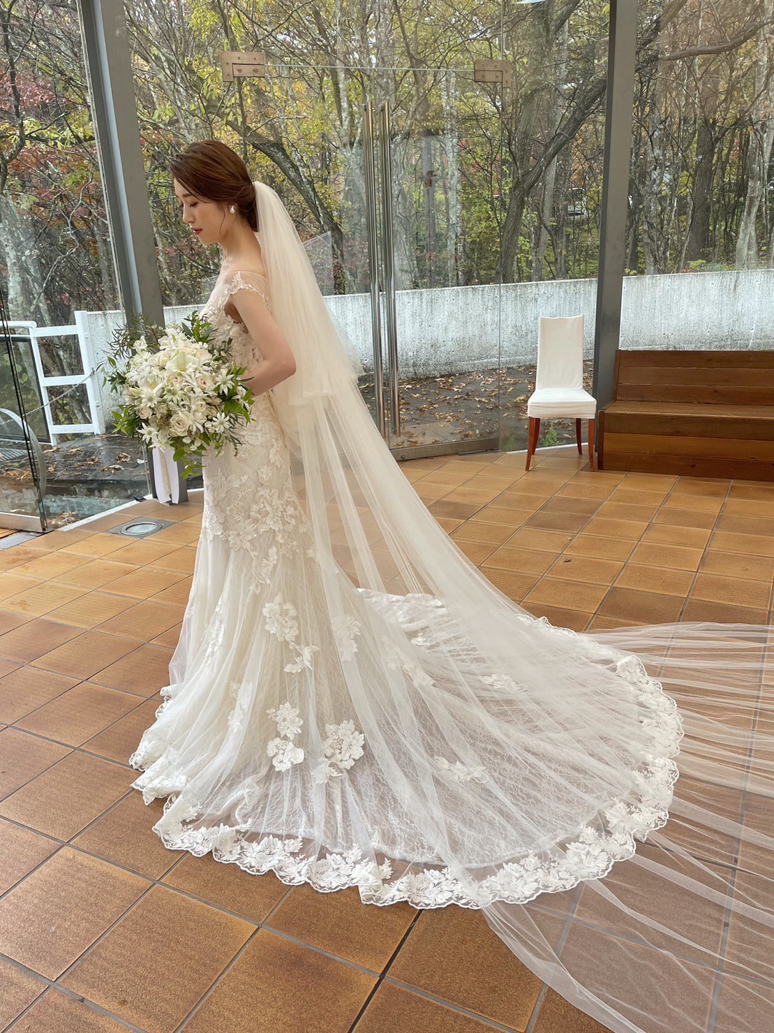 woman holding green leafed plant