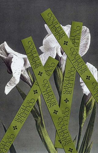 Iris blancs élégants aux feuilles vertes allongées, surmontés de bandes diagonales vertes portant le texte 'Couleur du Temps', sur un fond gris nuancé, créant une composition graphique contemporaine.