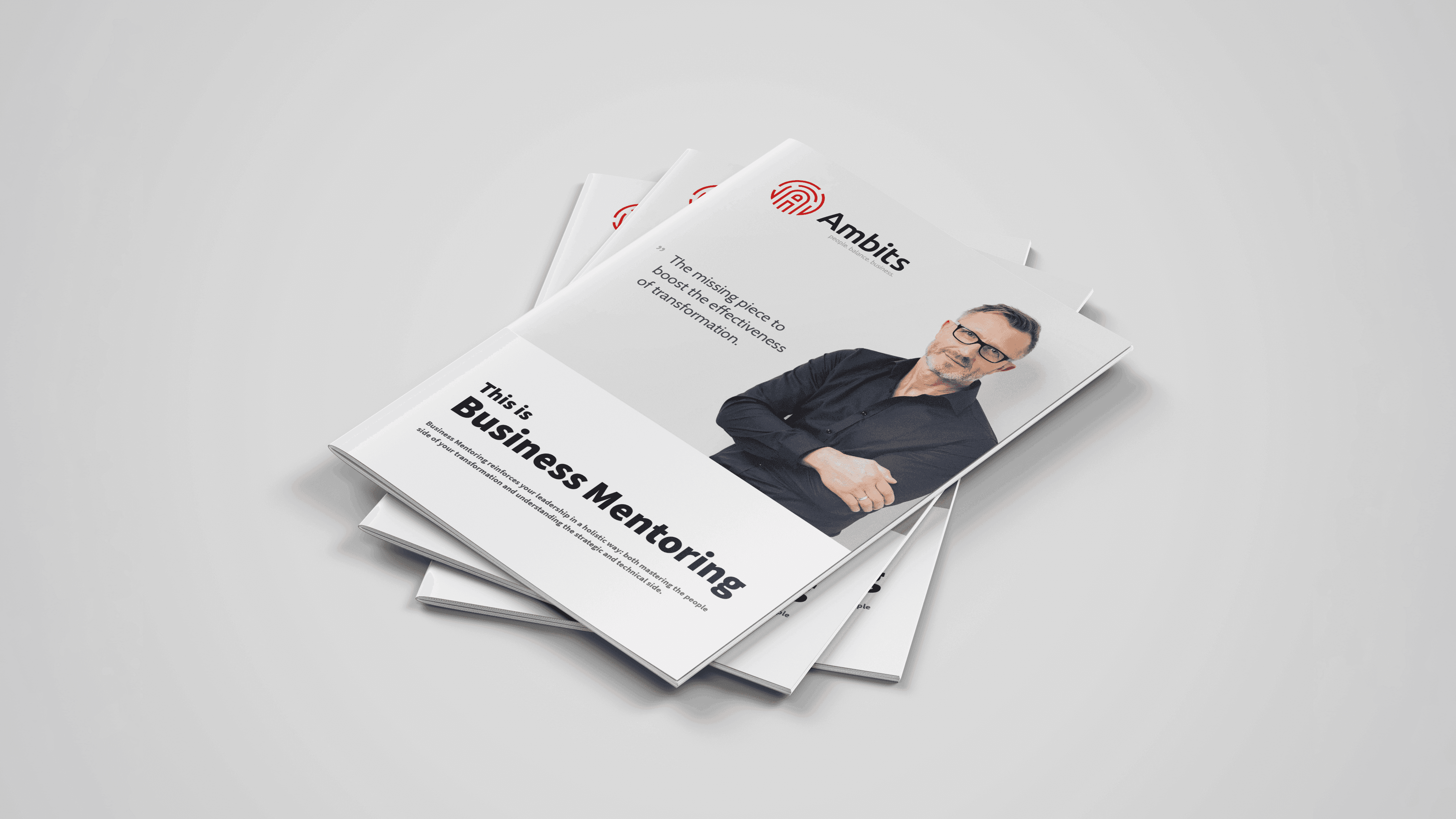 Ambits brochure