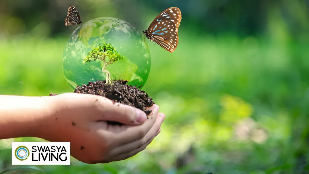 The Role of Human Beings in Biodiversity Conservation