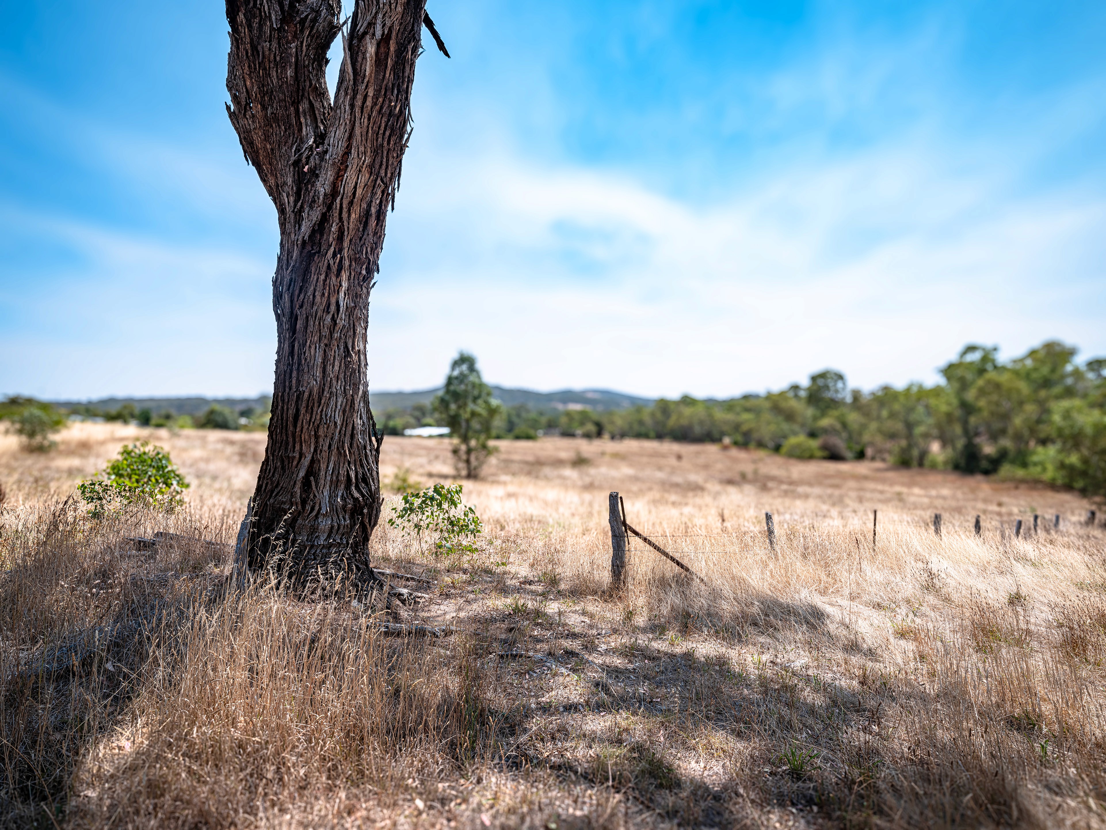 worker on laboratorium