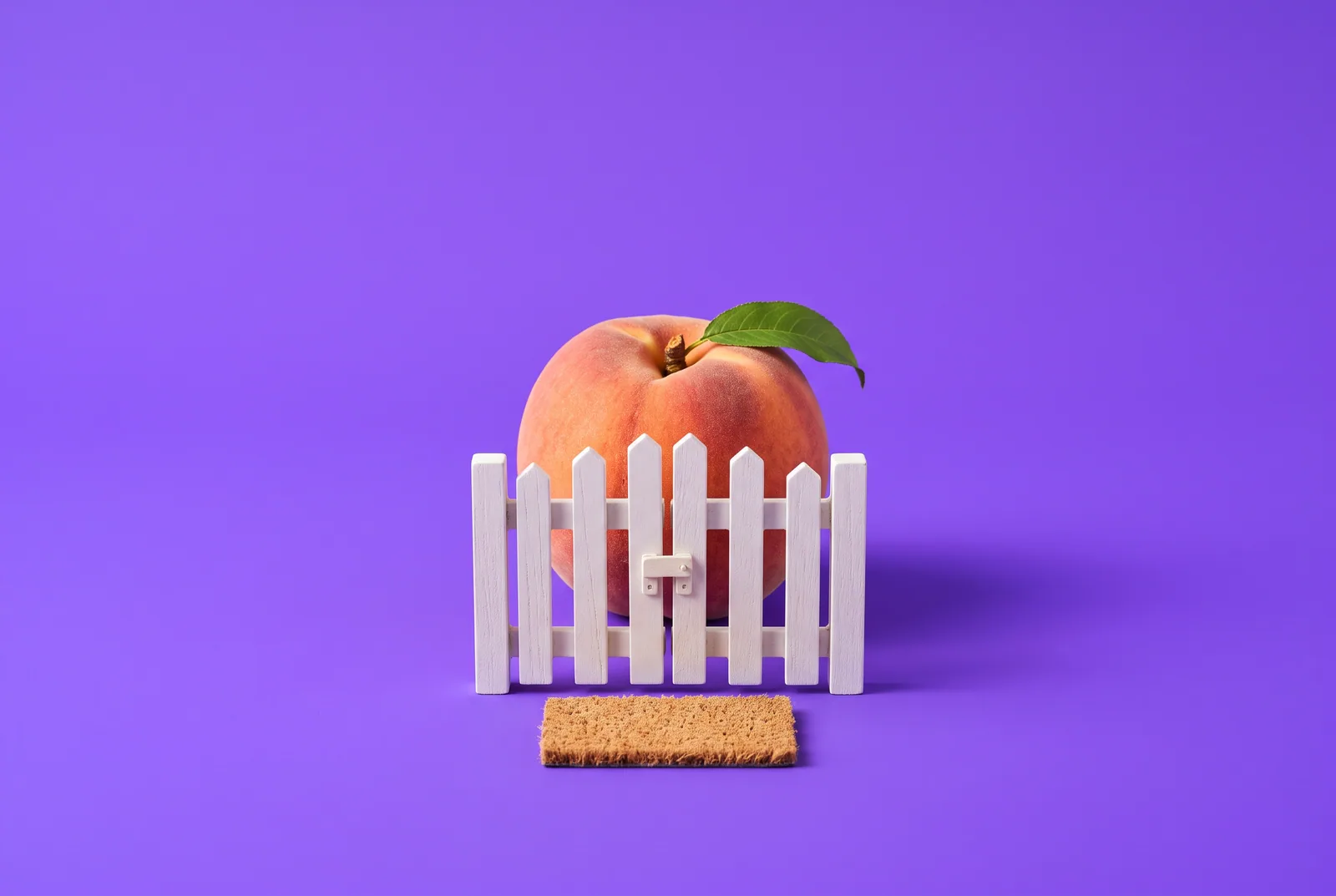 A peach behind a small latched garden gate, boundaries that hold for wives of porn addicts
