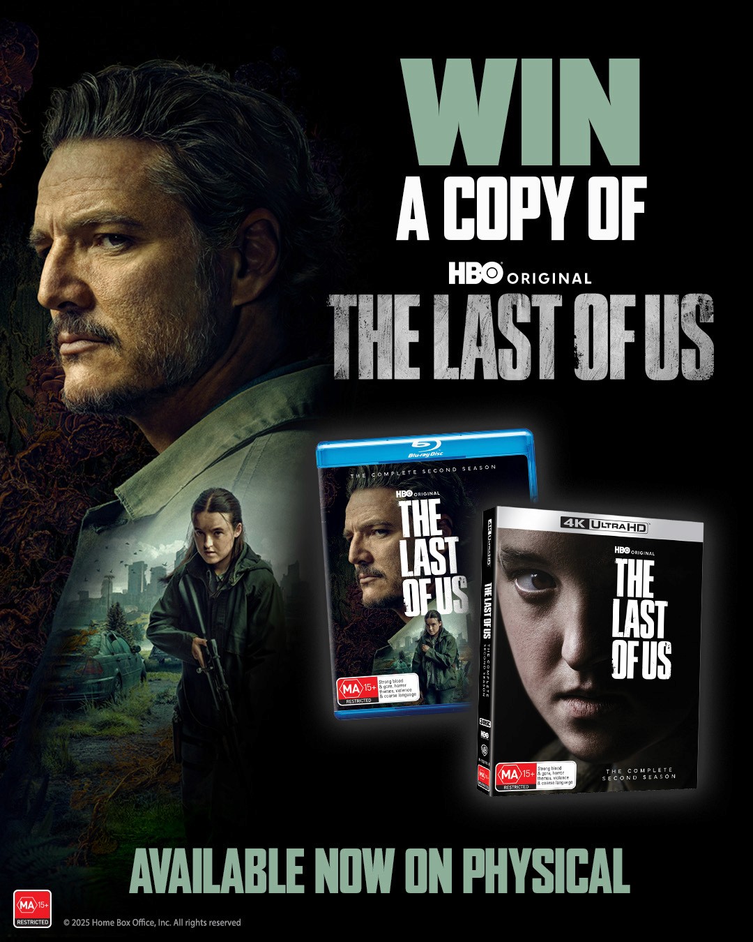 An image of the last of us
