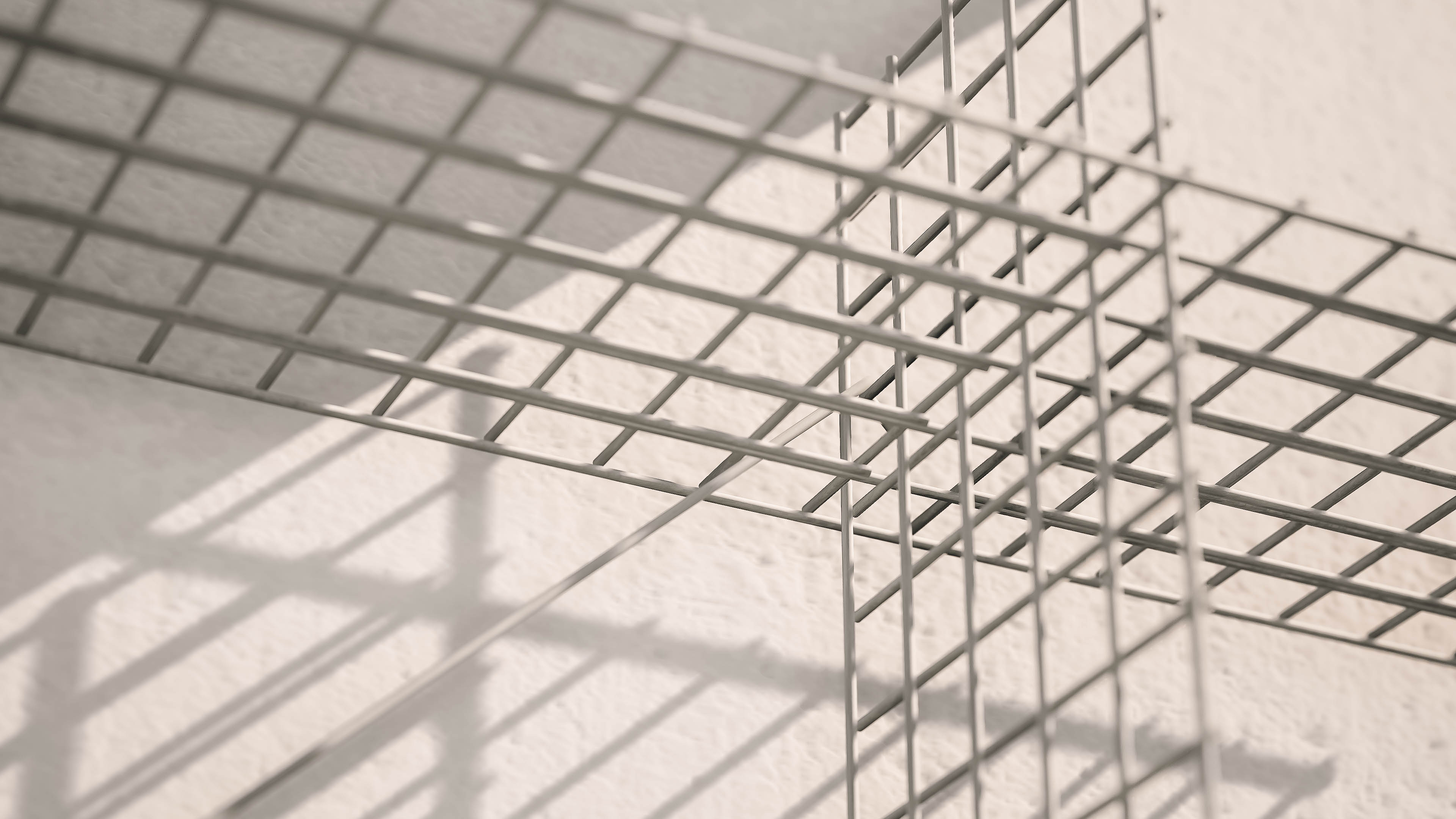 portrait photography