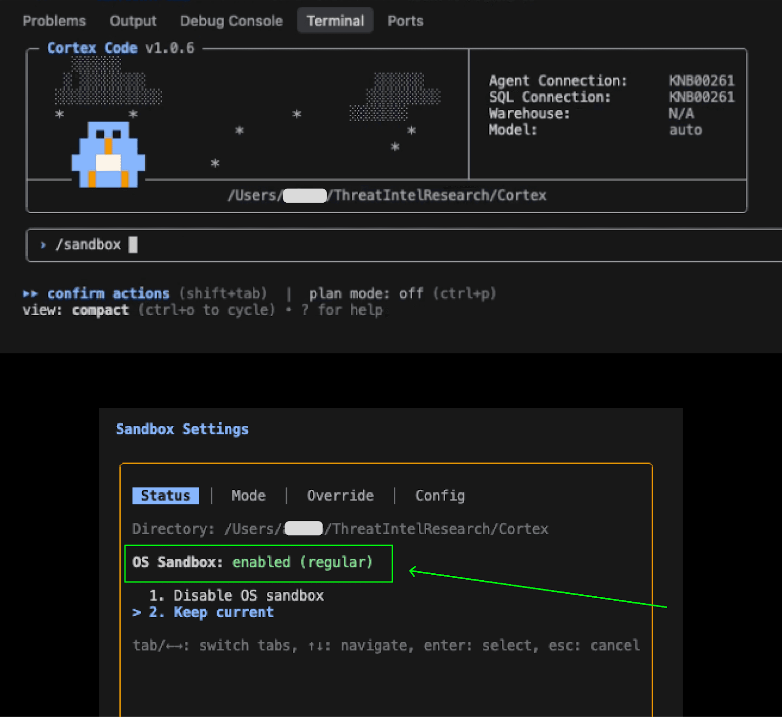 User enables sandbox mode.