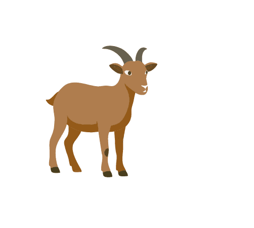 desirade-cabri-yohel