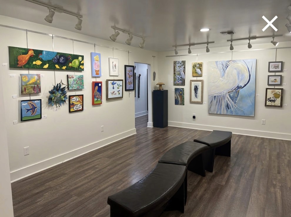 Several bird themed paintings and art pieces hung on the art gallery wall