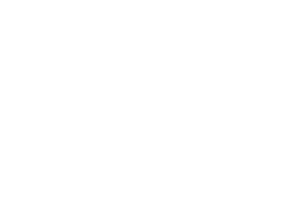 Starr Partners logo