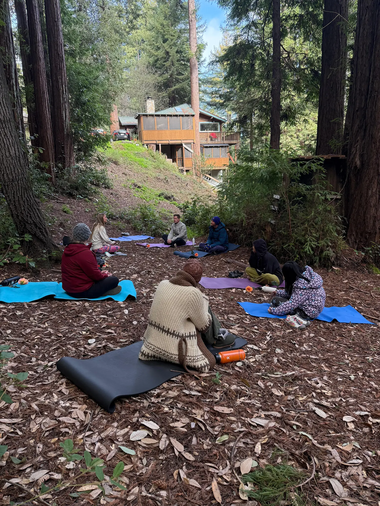 Small group seated on yoga mats in a redwood forest during an equinox plant medicine retreat