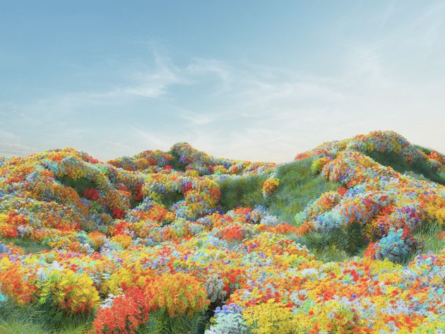 Vibrant landscape with rolling hills covered in colorful flowers under a blue sky with soft clouds.