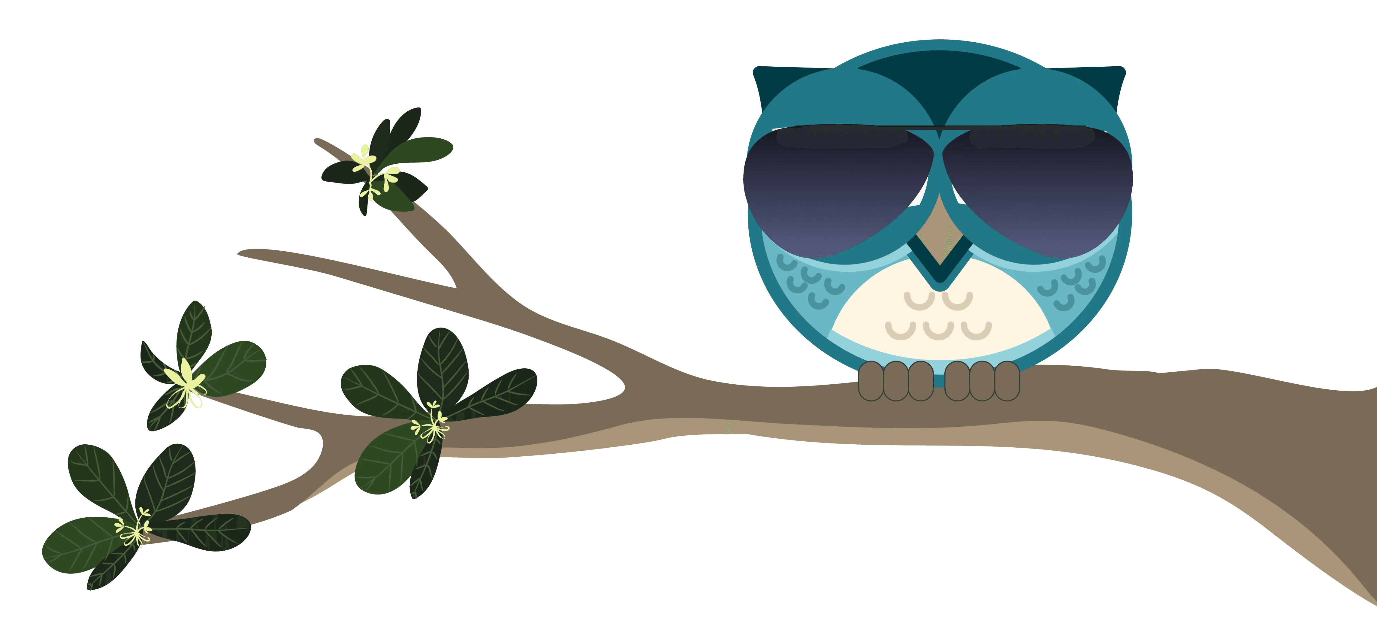 Mascotte Hibou du site illustration 6.