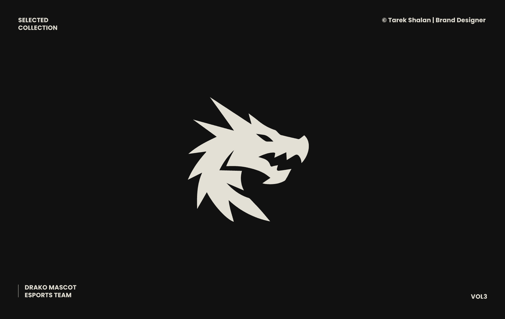drako_logo_mascot_design