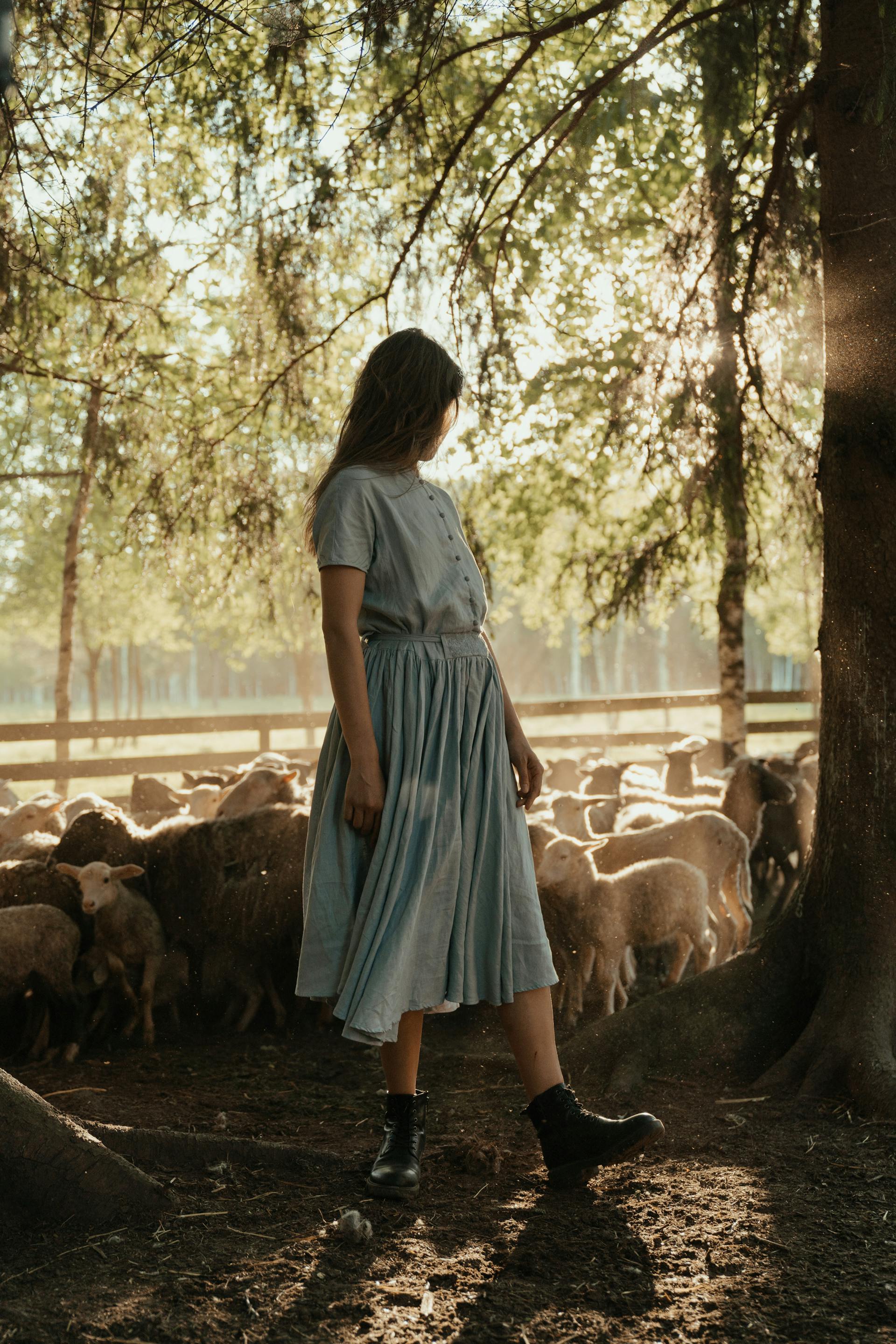 A woman wearing a blue button-down dress and black boots stands in a forest clearing, looking toward a group of sheep gathered in the background.