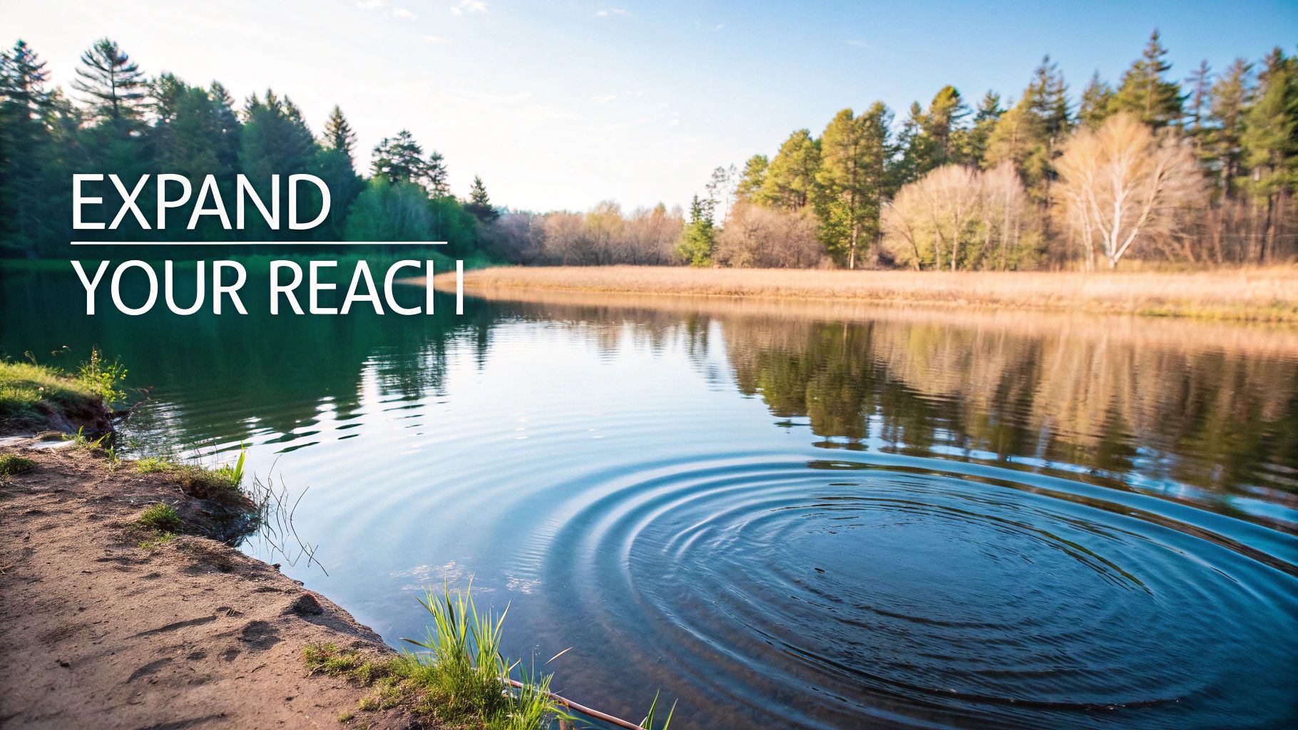 Person looking at a computer screen showing LinkedIn analytics