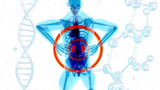 How to Fix Rib Flare to Improve Posture and Core Strength - PostureAI