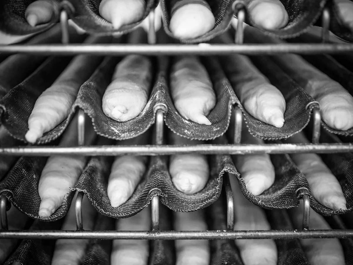 Fresh bageutte dough on trays, ready to go in the oven