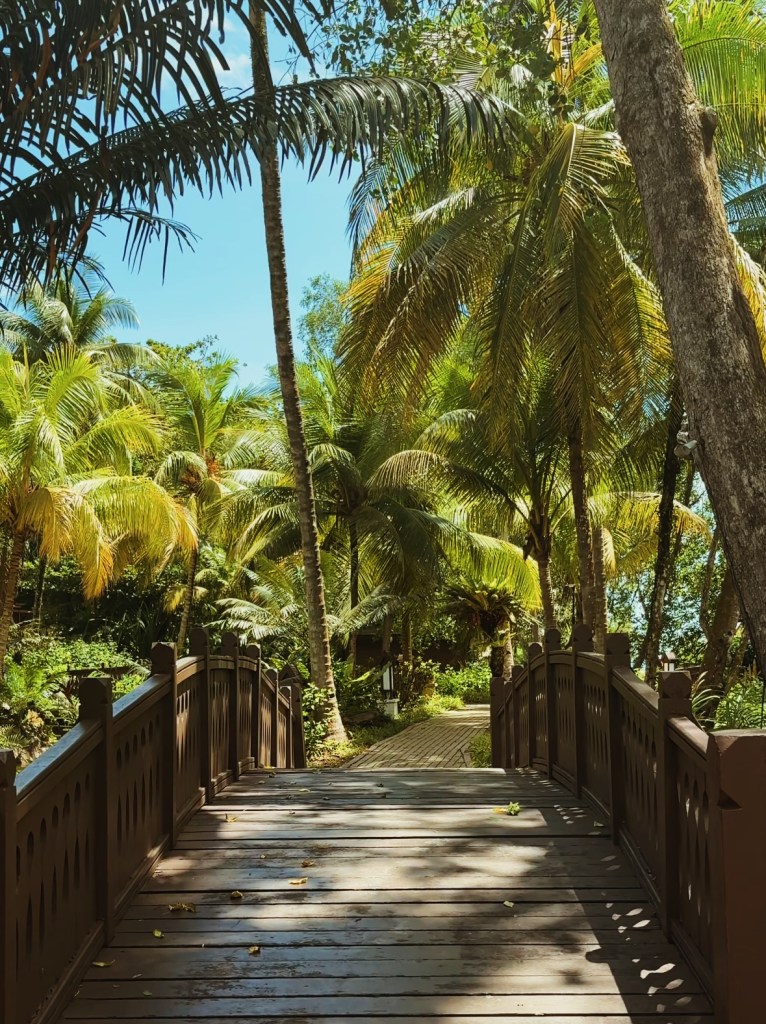 A wooden footbridge surrounded by lush tropical palm trees at Tanjong Jara Resort, leading towards the beach.