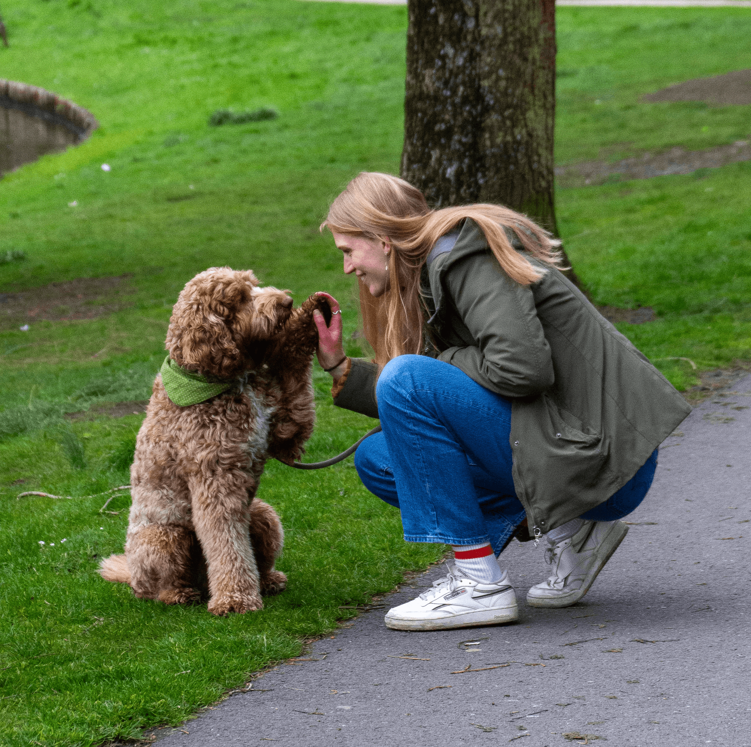 How do you become a pet sitter at Charly Cares?