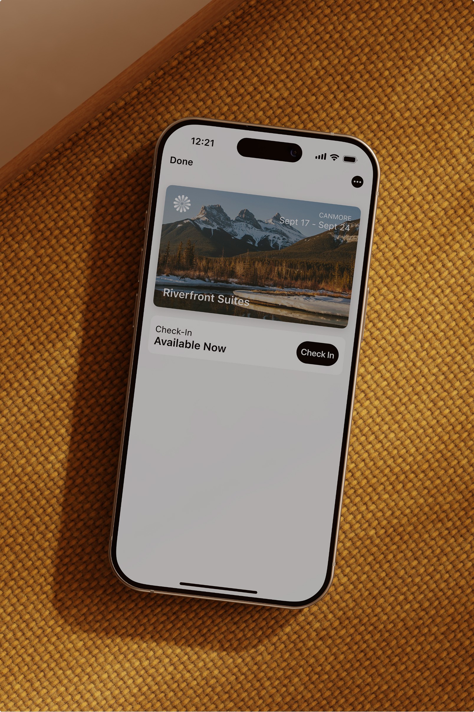 Phone using an OwlPasses custom pass