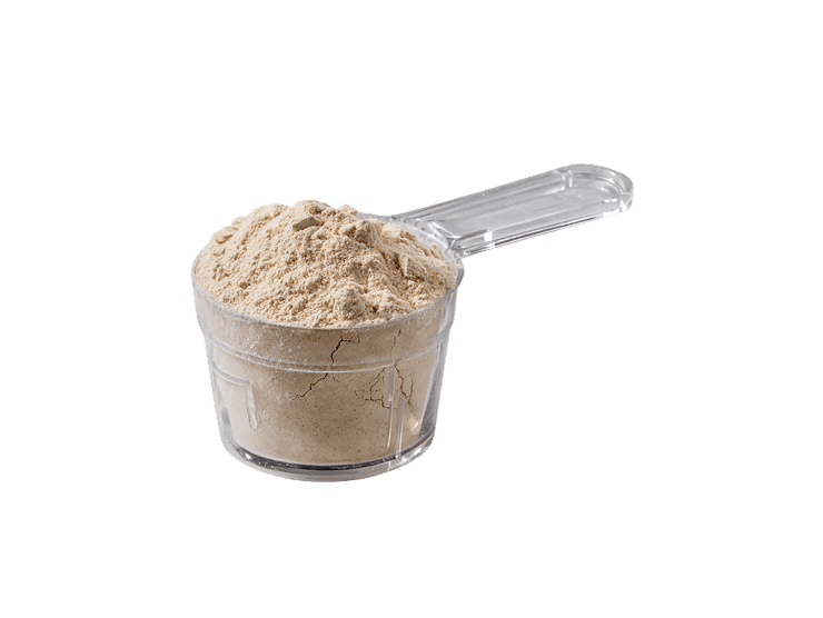 a clear plastic scoop filled with beige protein powder.
