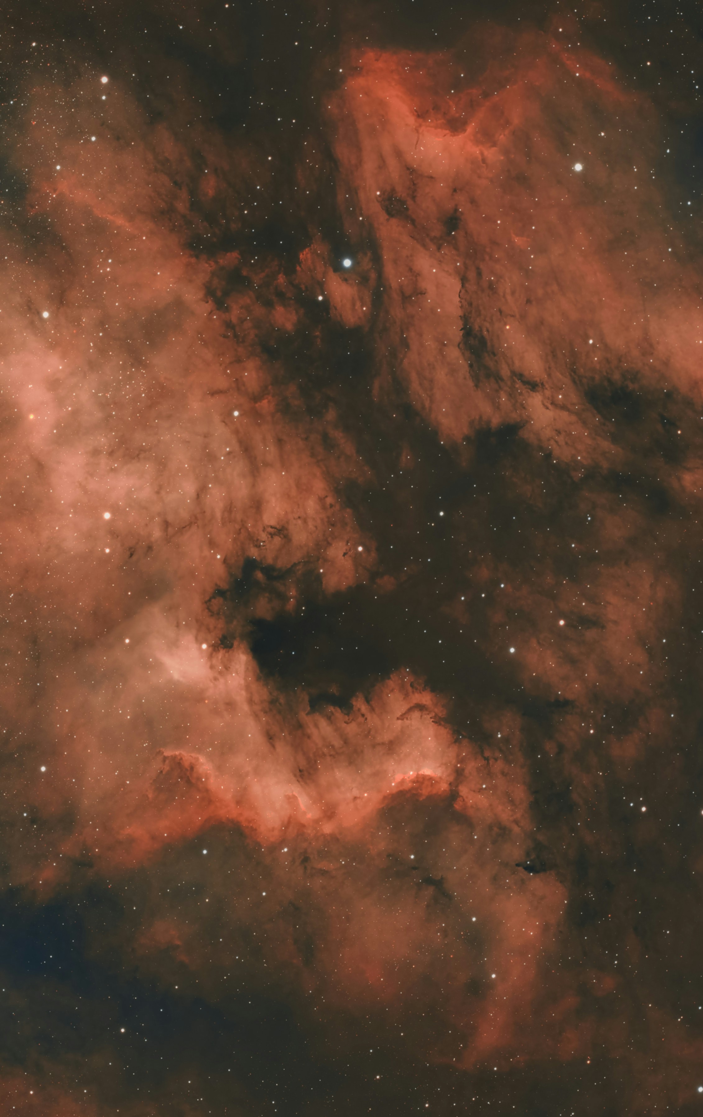 Vibrant red and dark nebula with scattered stars