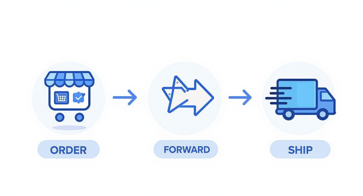 Dropshipping process flow diagram showing order, forward, and ship stages with icons