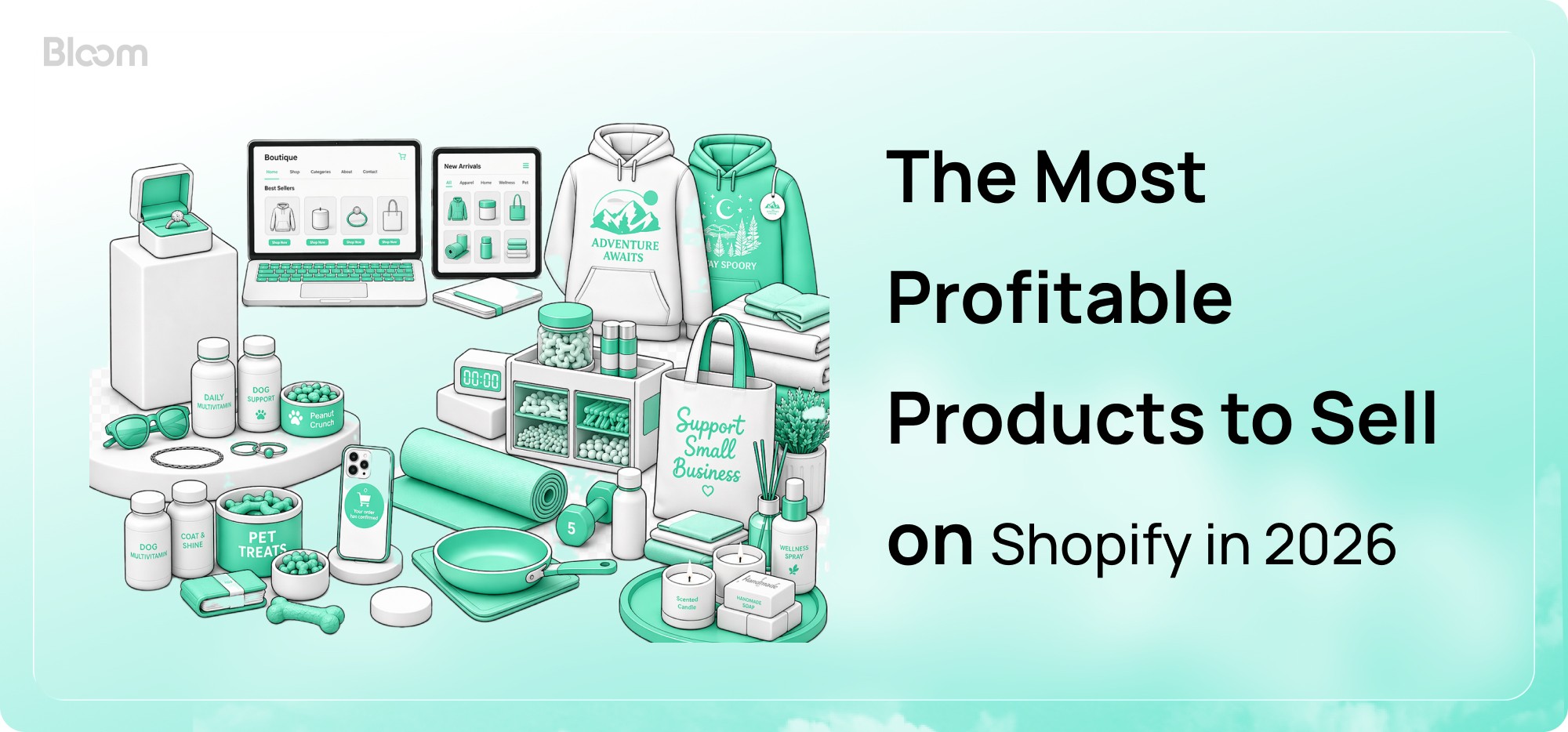 shopify profitable product
