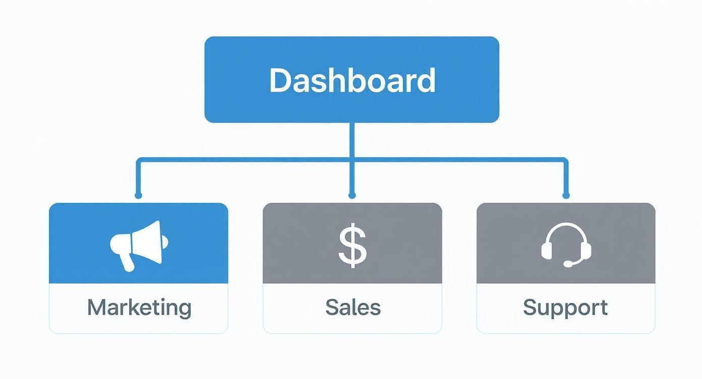 Infographic about customer experience dashboards