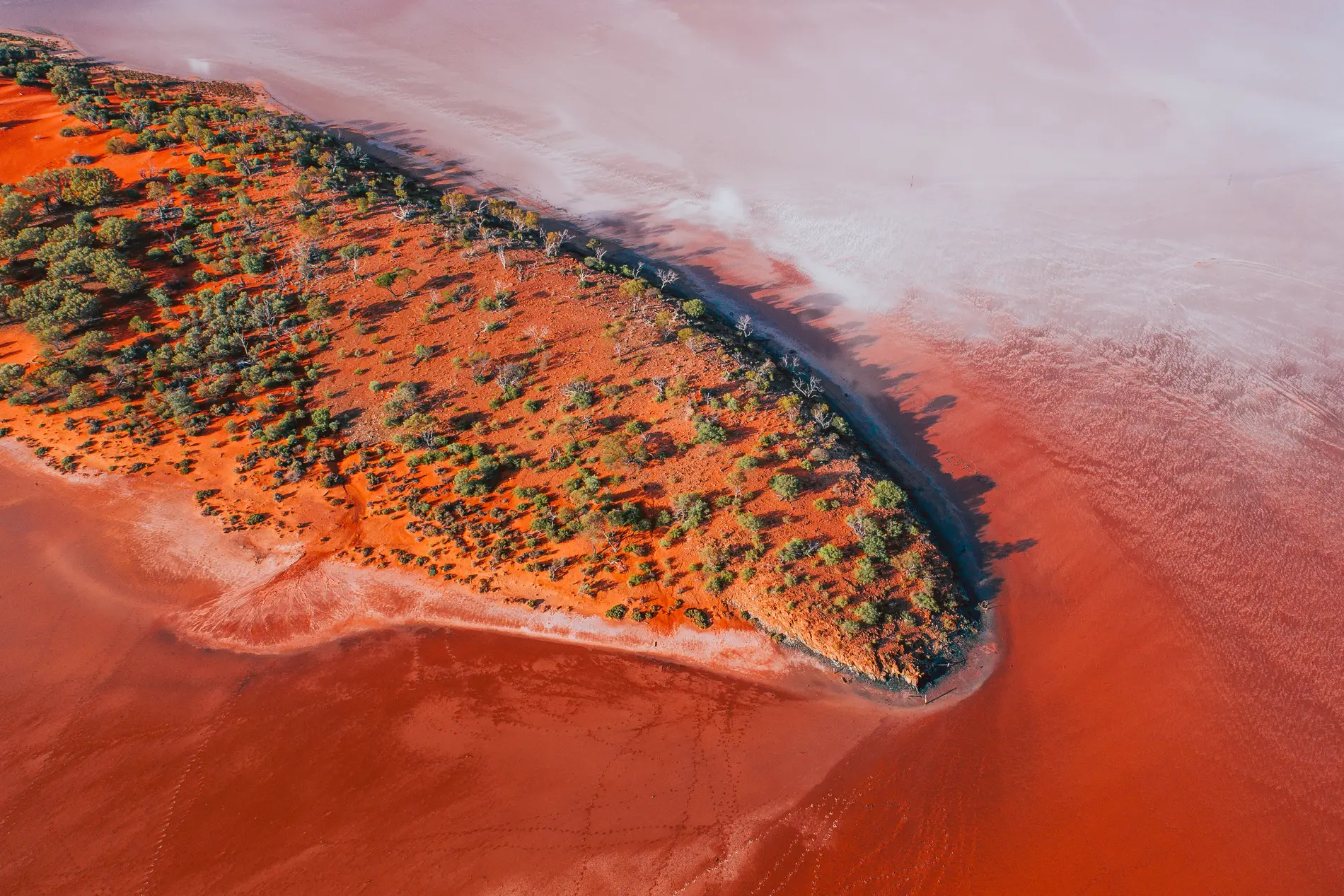 Aerial of a scrub-covered spit reaching into an orange and pink salt pan