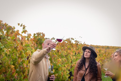 Expert tour guide running a vineyard experience, explains how to taste wine holiding a white wine. Client listens carefully holiding a red wine glass