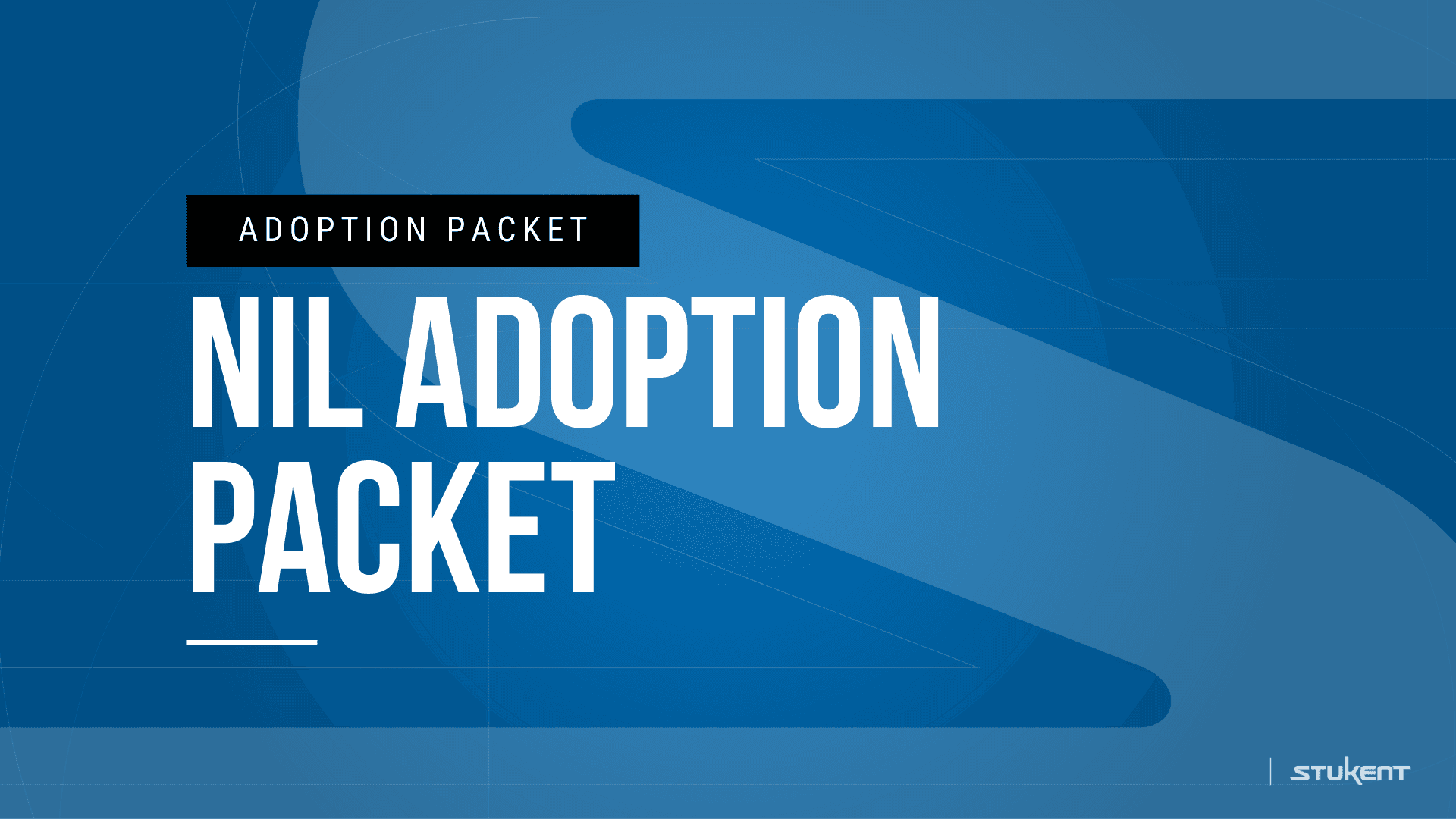 Adapting Social Strategies in a Shifting Digital Landscape