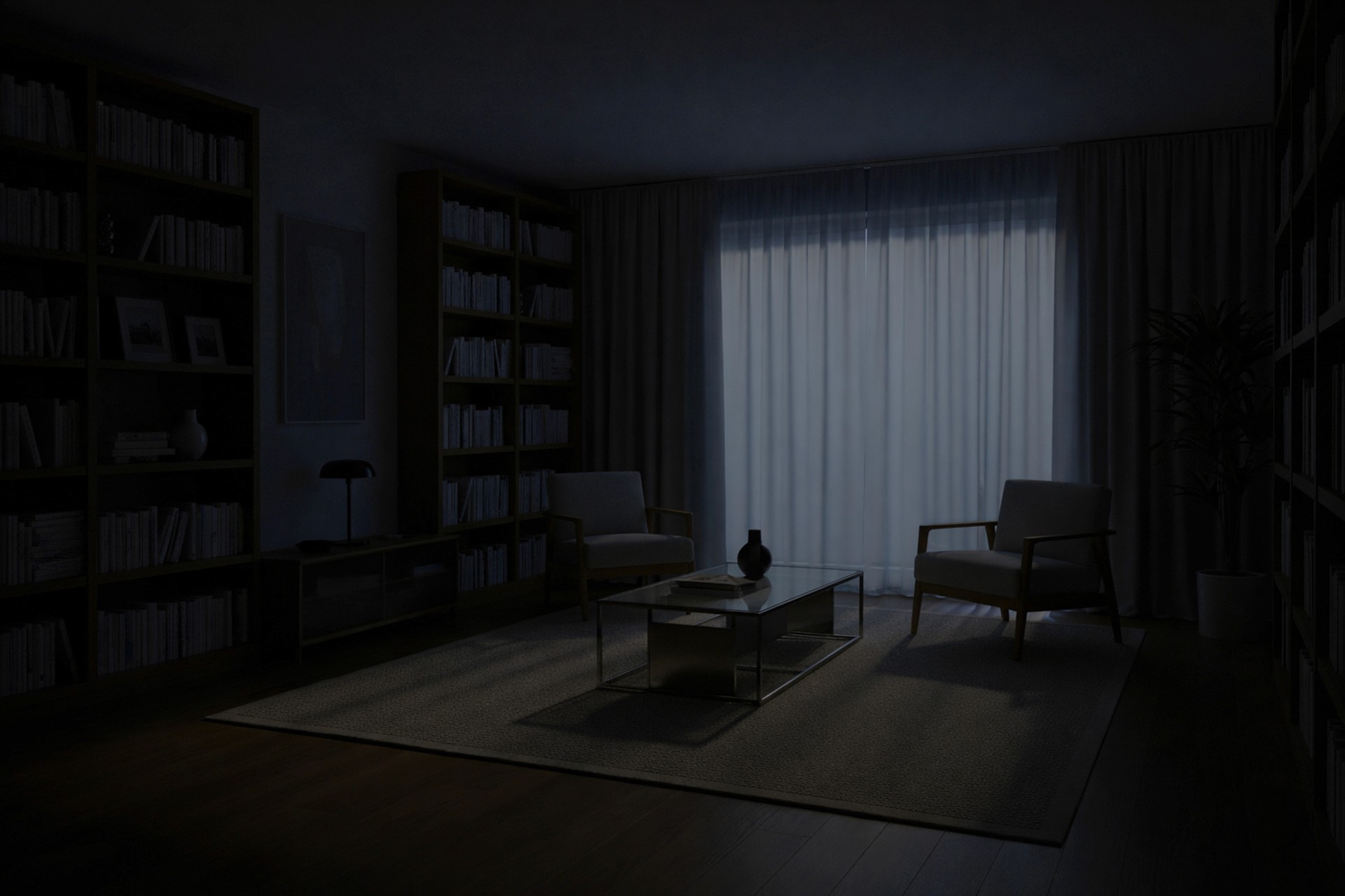 Dark, unlit room with tall bookshelves and chairs.