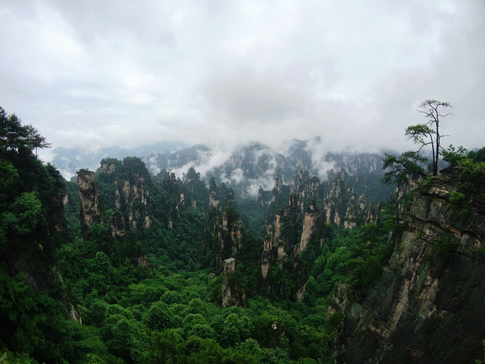 Zhangjiajie Peaks