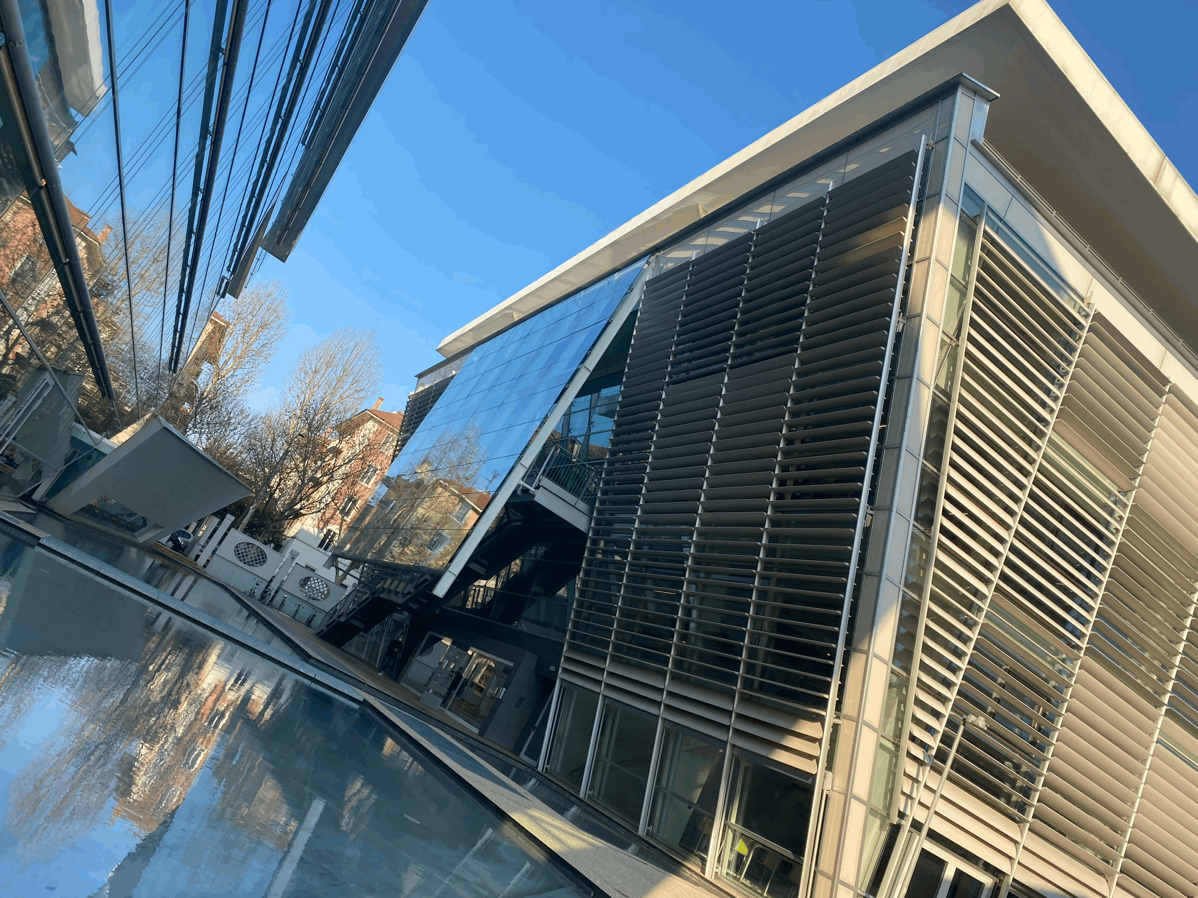 Women On Neon Background