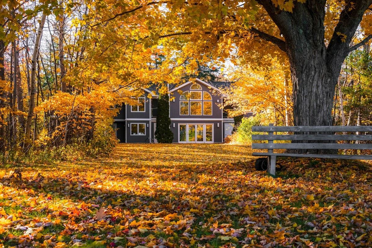 Backyard deck surrounded by autumn foliage