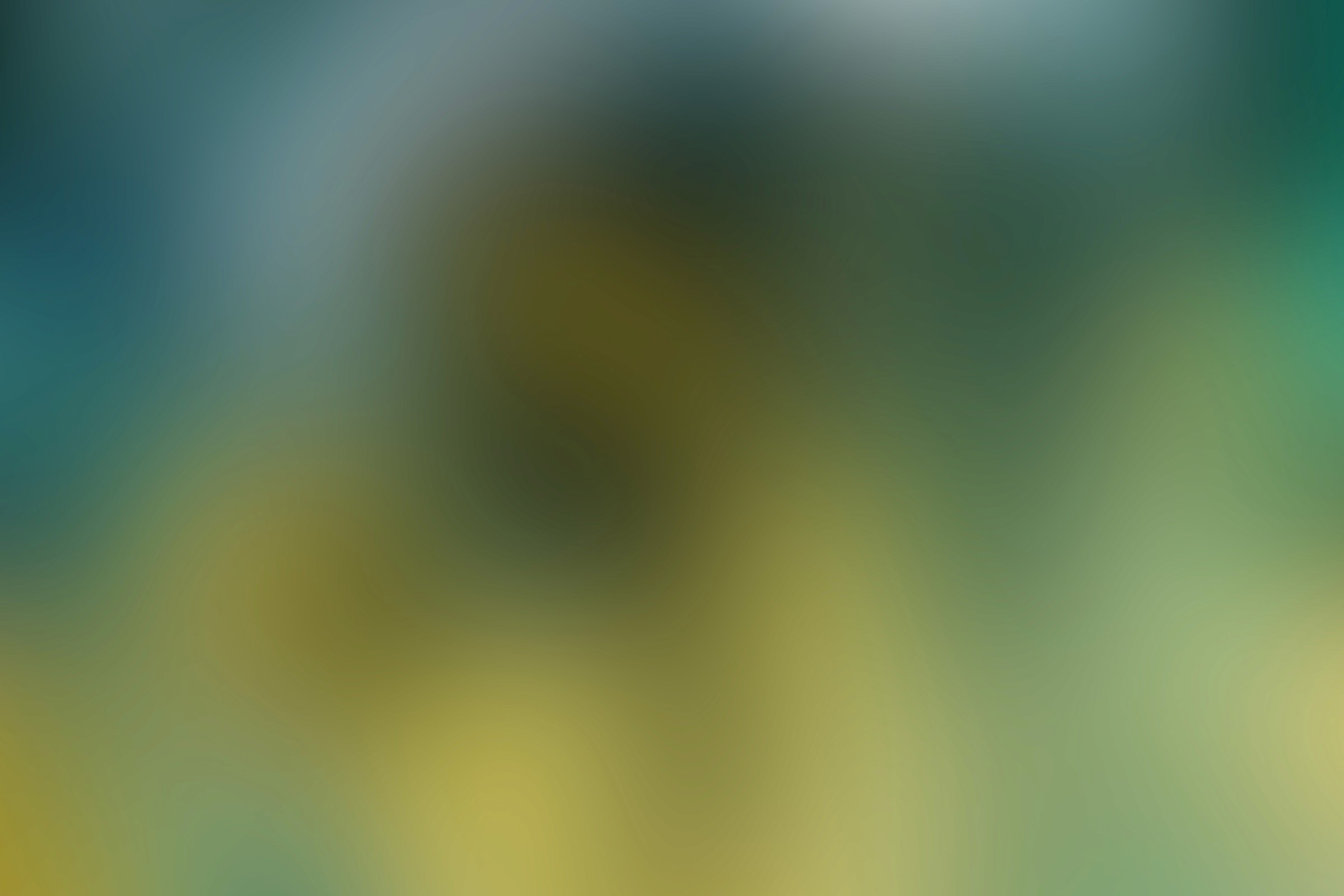 unsplash wallpaper blurred background image