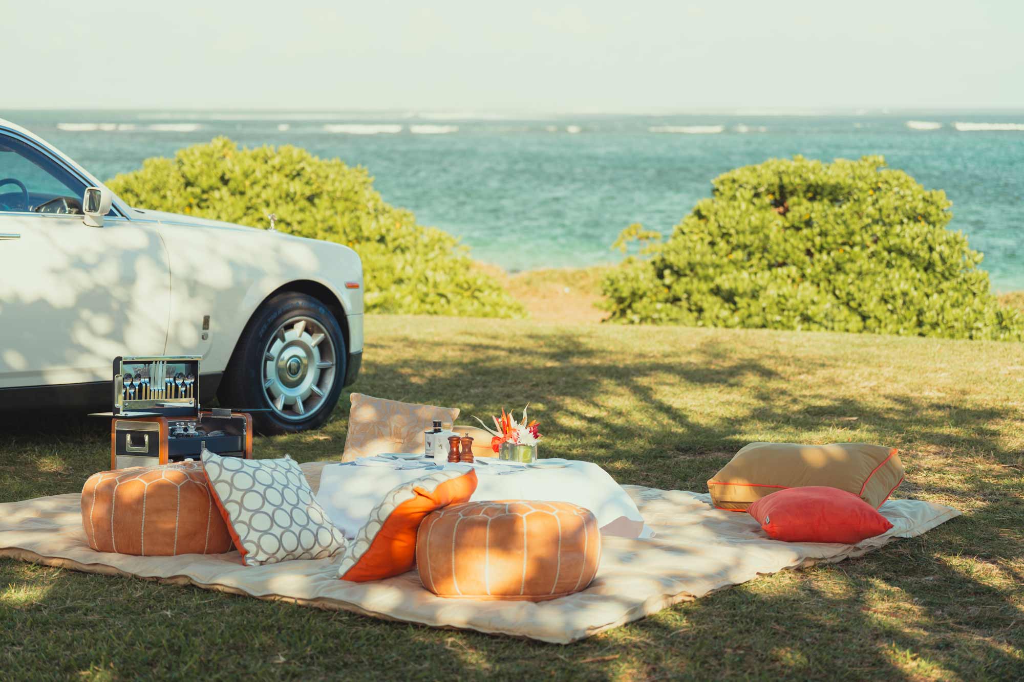 Luxurious picnic setup by the sea for strategic film campaigns and ads.