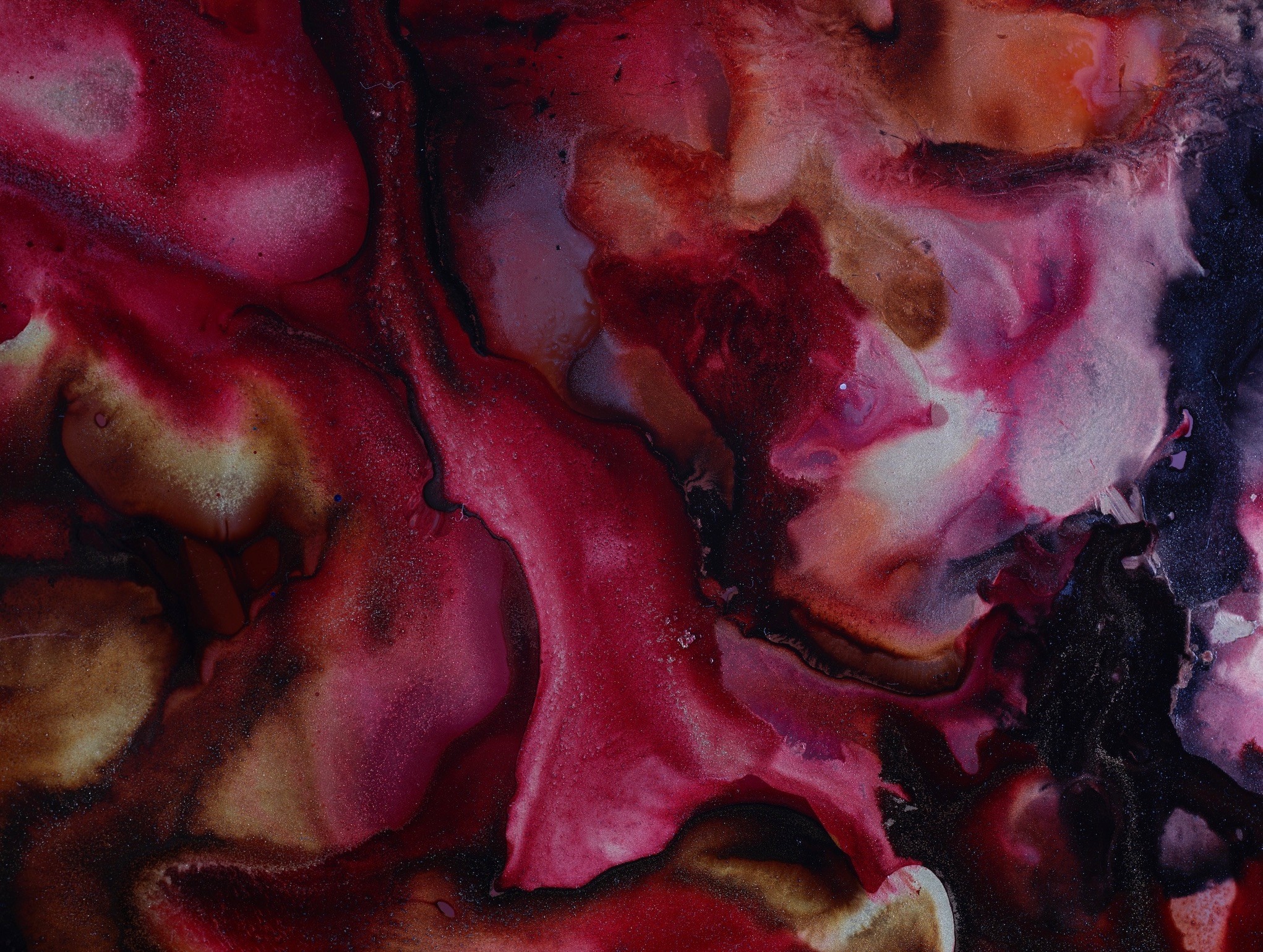 Fragments of&nbsp;Now Image #3