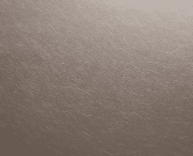 22-Brushed Champagne Grey