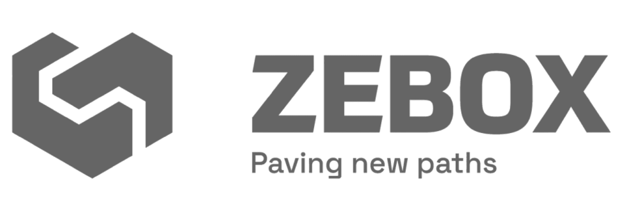 Placeholder client logo