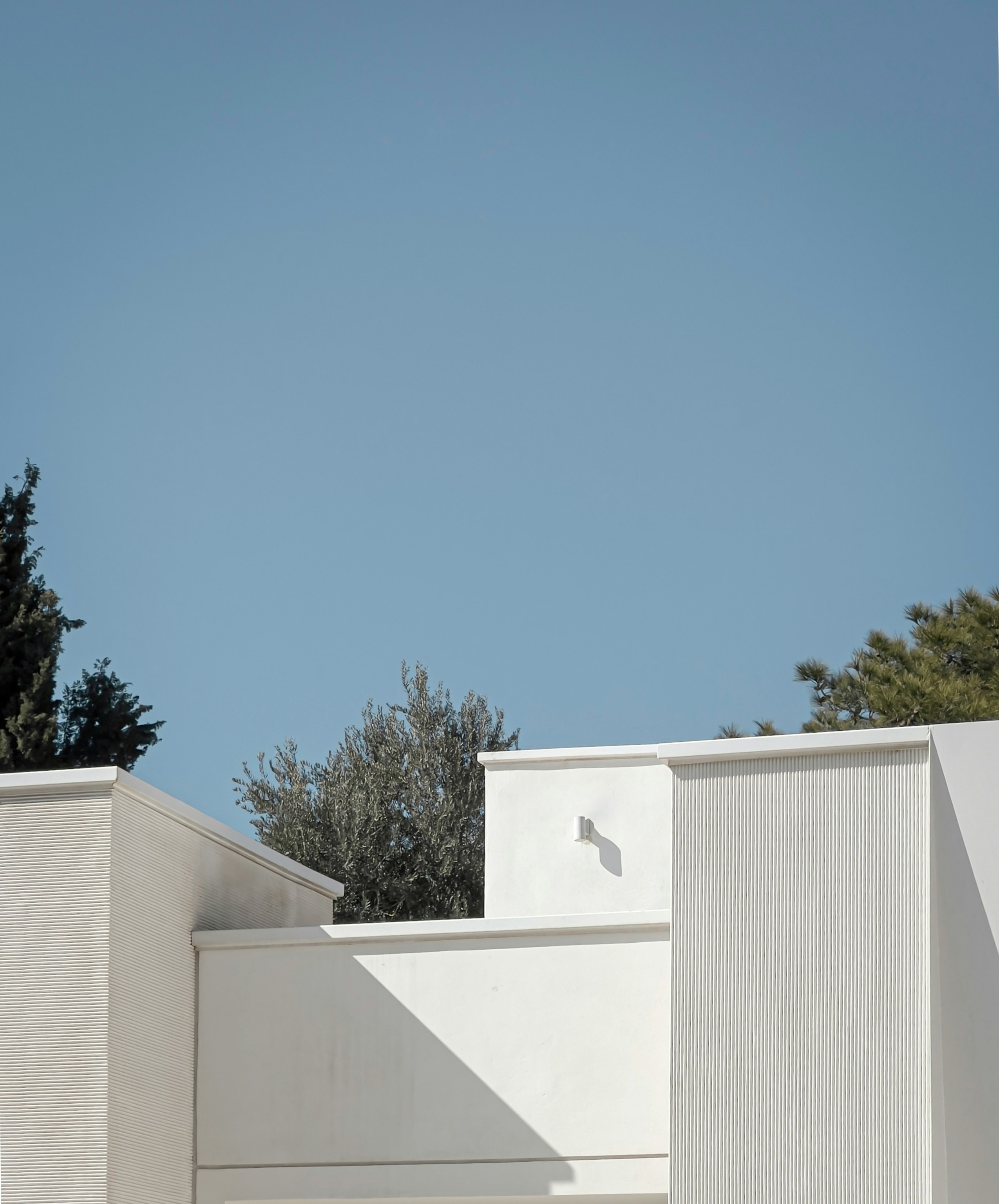 a bird flying over a white building with trees in the background
