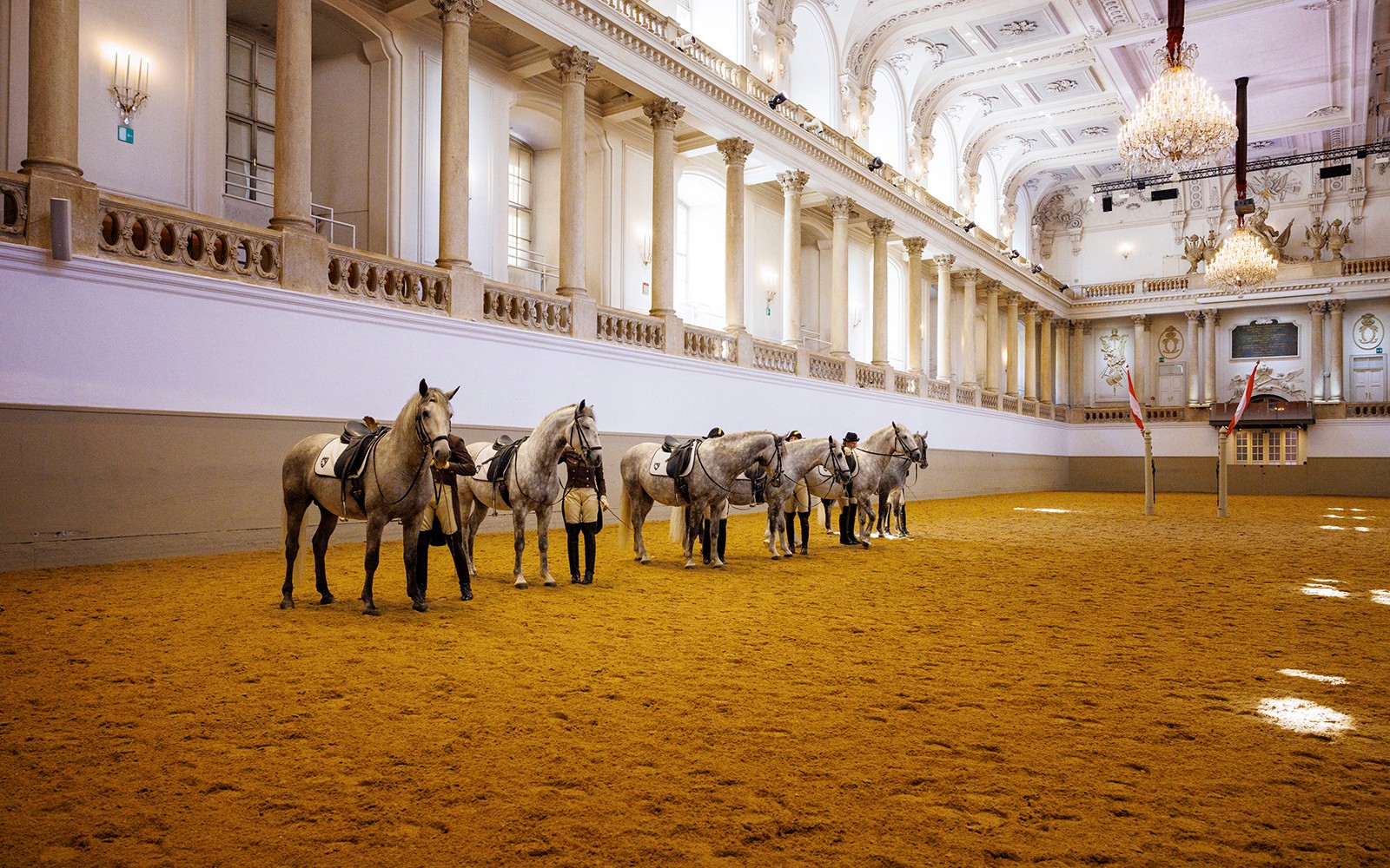 維也納西班牙騎術學校內接受訓練的利比札種公馬。相片集圖片 1。